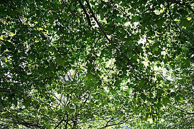 新作《Hell Is Us》正式公布 虚幻5引擎开发2023年发售